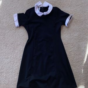 Collared Dress